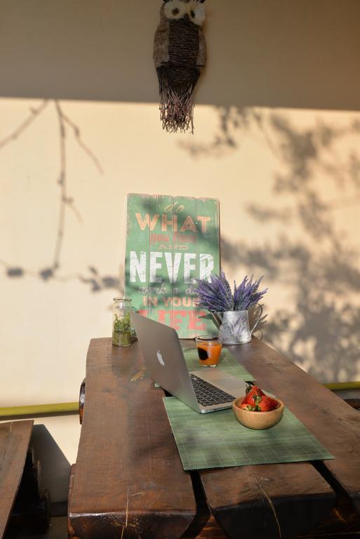 Collosal Apartment With Garden 부쿠레슈티 외부 사진
