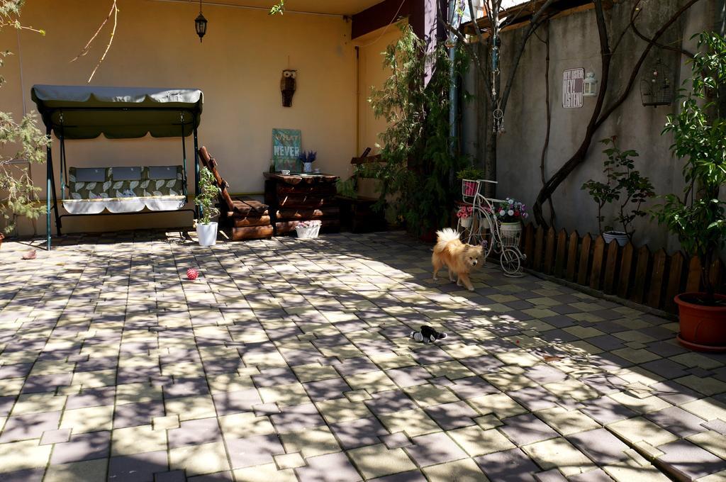 Collosal Apartment With Garden 부쿠레슈티 외부 사진