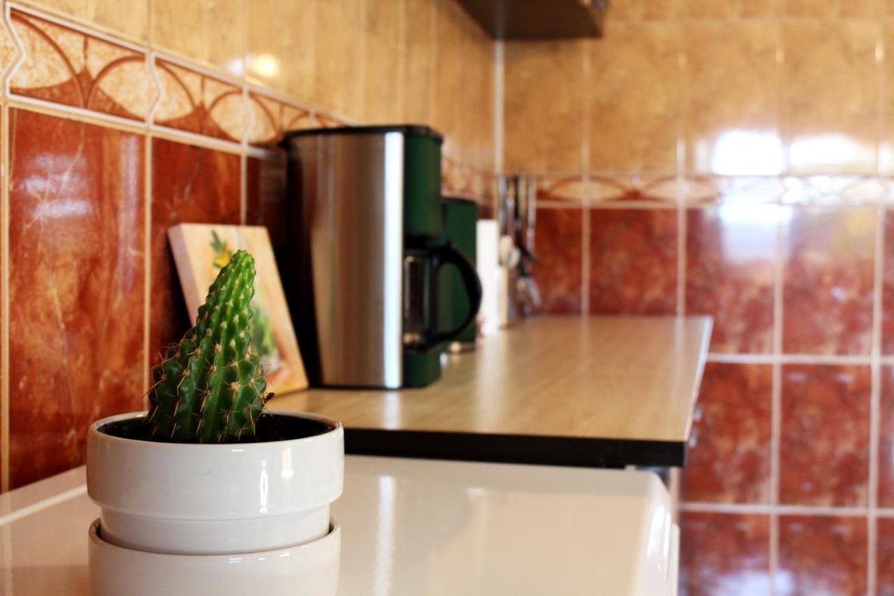 Collosal Apartment With Garden 부쿠레슈티 외부 사진