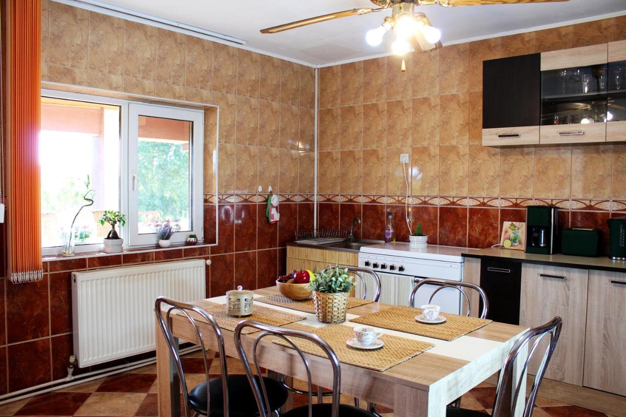 Collosal Apartment With Garden 부쿠레슈티 외부 사진