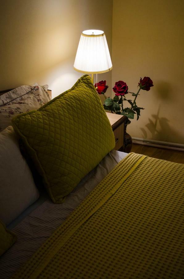 Collosal Apartment With Garden 부쿠레슈티 외부 사진